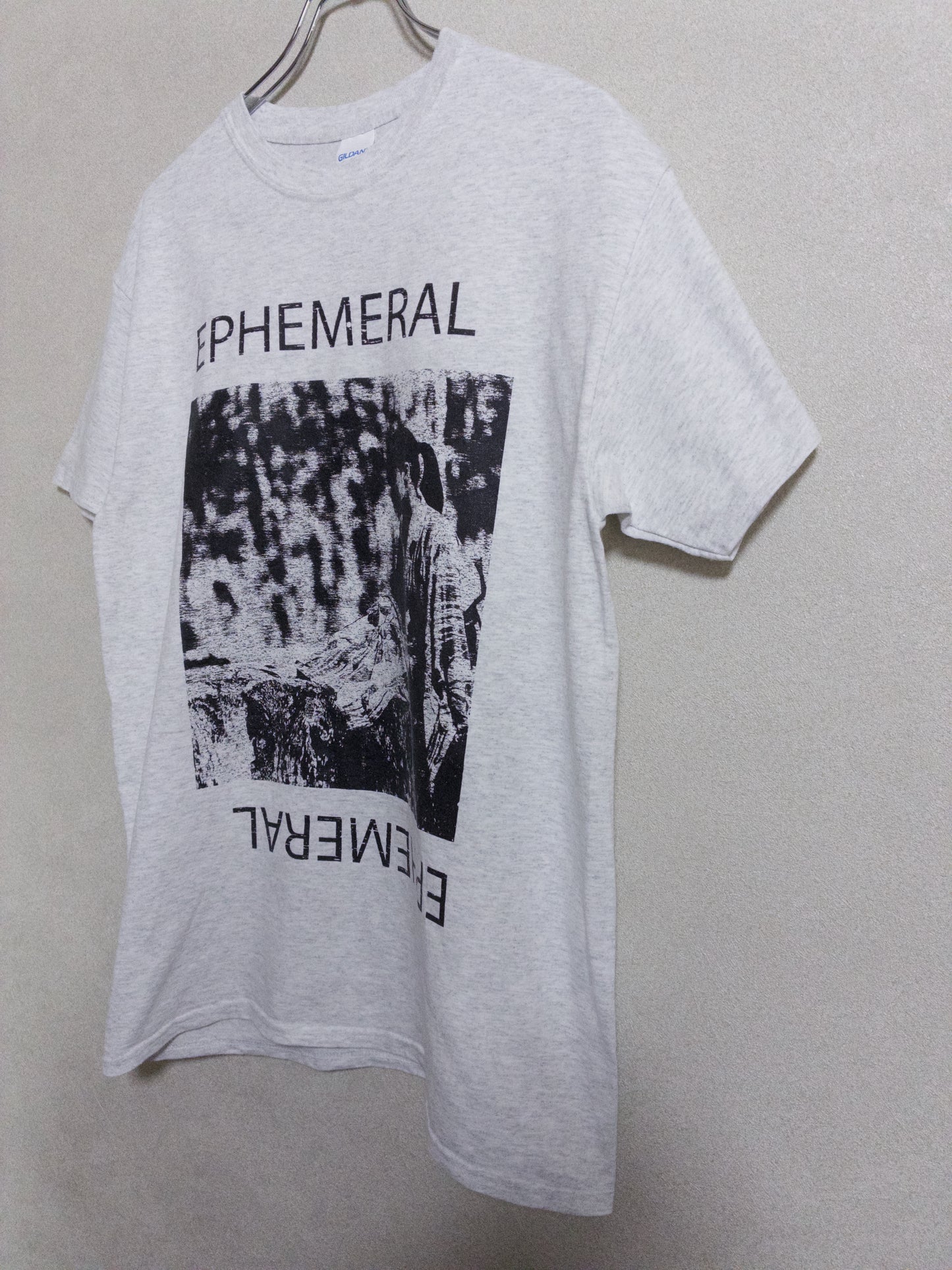 Gildan - 2010年代 EPHEMERAL フォトプリントTシャツ