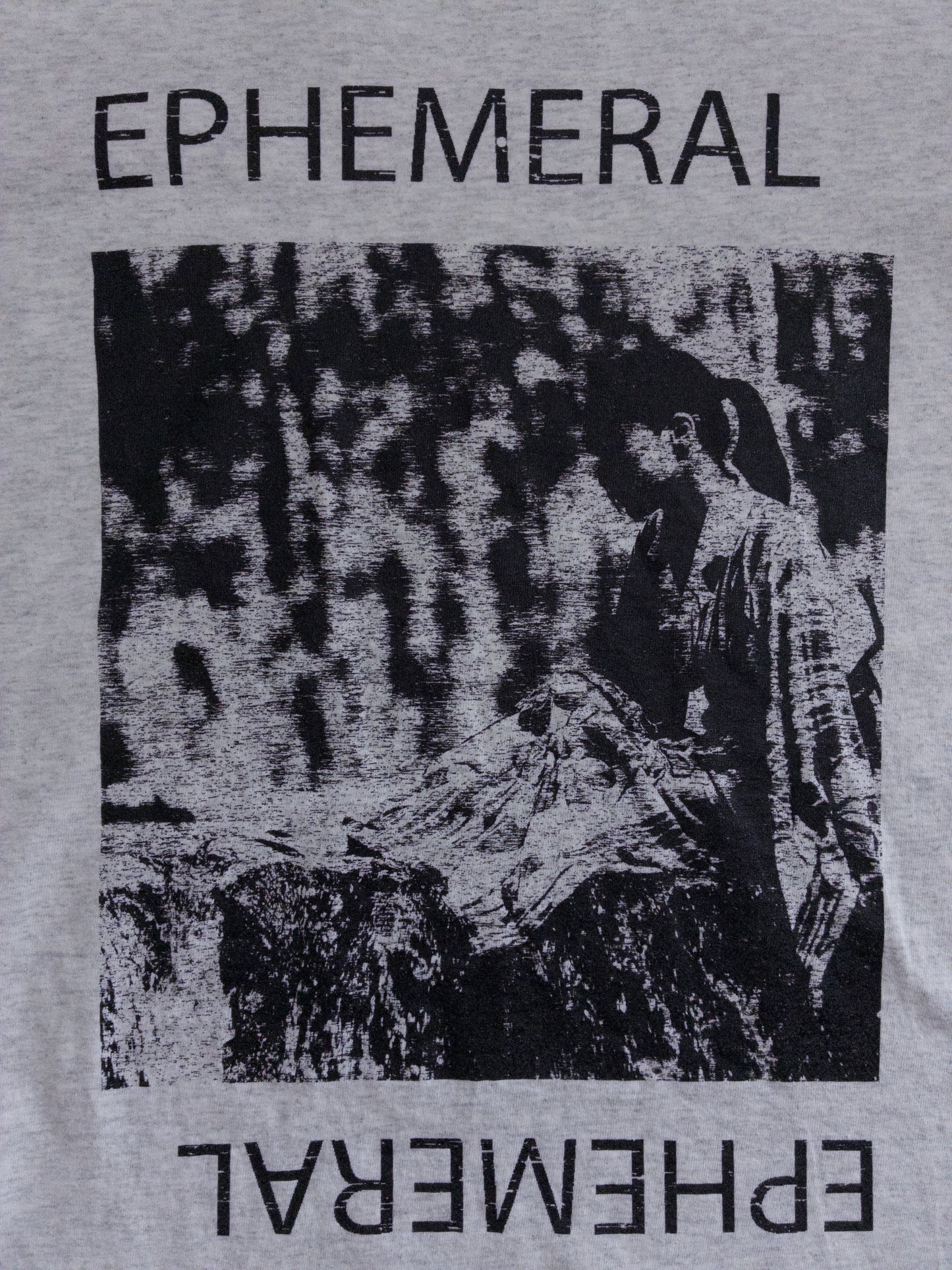 Gildan - 2010年代 EPHEMERAL フォトプリントTシャツ